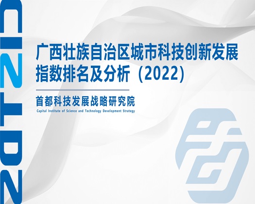 性爱最新网站【成果发布】广西壮族自治区城市科技创新发展指数排名及分析（2022）